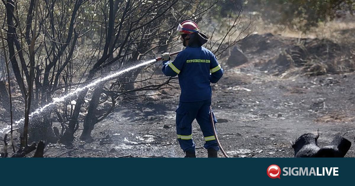 &Epsilon;&lambda;&lambda;ά&delta;&alpha;: &Epsilon;&nu;&tau;&omicron;&pi;ί&sigma;&tau;&eta;&kappa;&epsilon; &sigma;&omicron;&rho;ό&sigmaf; &sigma;&epsilon; &alpha;&upsilon;&tau;&omicron;&kappa;ί&nu;&eta;&tau;&omicron; &kappa;&alpha;&tau;ά &tau;&eta; &delta;&iota;ά&rho;&kappa;&epsilon;&iota;&alpha; &kappa;&alpha;&tau;ά&sigma;&beta;&epsilon;&sigma;&eta;&sigmaf; &pi;&upsilon;&rho;&kappa;&alpha;&gamma;&iota;ά&sigmaf;