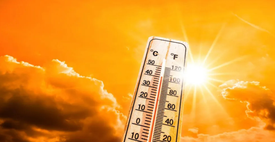 &Kappa;ί&tau;&rho;&iota;&nu;&eta; &pi;&rho;&omicron;&epsilon;&iota;&delta;&omicron;&pi;&omicron;ί&eta;&sigma;&eta; &gamma;&iota;&alpha; &kappa;&alpha;ύ&sigma;&omega;&nu;&alpha;-&Pi;ό&tau;&epsilon; &tau;ί&theta;&epsilon;&tau;&alpha;&iota; &sigma;&epsilon; &iota;&sigma;&chi;ύ