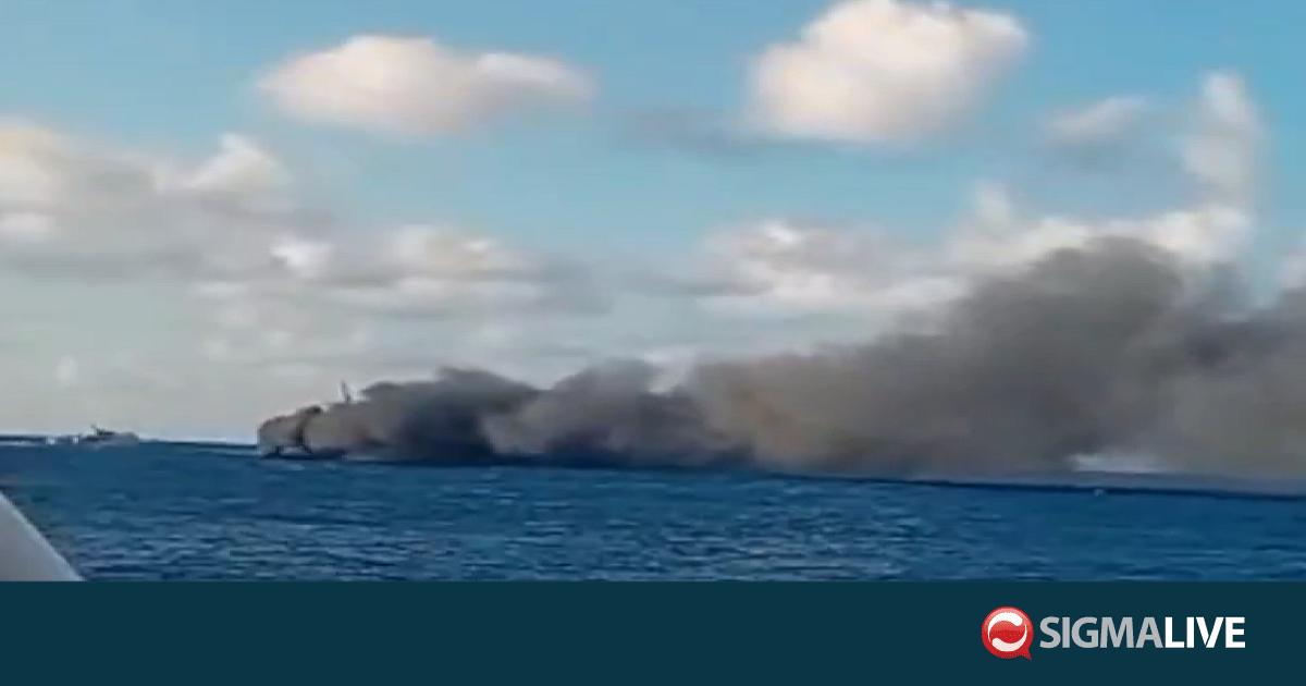 &Iota;&nu;&delta;&omicron;&nu;&eta;&sigma;ί&alpha;: &Epsilon;&pi;&iota;&chi;&epsilon;ί&rho;&eta;&sigma;&eta; &delta;&iota;ά&sigma;&omega;&sigma;&eta;&sigmaf; &epsilon;&pi;&iota;&beta;&alpha;&iota;&nu;ό&nu;&tau;&omega;&nu; &alpha;&pi;ό &phi;έ&rho;&iota; &pi;&omicron;&upsilon; &pi;ή&rho;&epsilon; &phi;&omega;&tau;&iota;ά (vid)