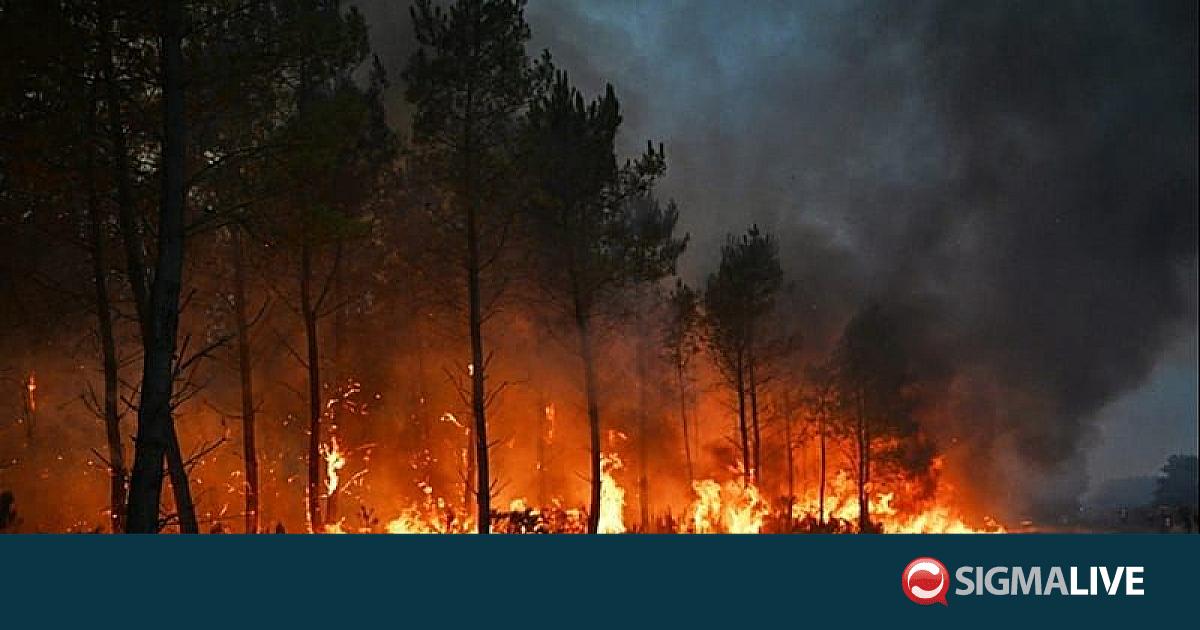 &Gamma;&alpha;&lambda;&lambda;ί&alpha;: 1.200 ά&nu;&theta;&rho;&omega;&pi;&omicron;&iota; &alpha;&pi;&omicron;&mu;&alpha;&kappa;&rho;ύ&nu;&theta;&eta;&kappa;&alpha;&nu; &alpha;&pi;ό &kappa;ά&mu;&pi;&iota;&nu;&gamma;&kappa; &epsilon;&xi;&alpha;&iota;&tau;ί&alpha;&sigmaf; &pi;&upsilon;&rho;&kappa;&alpha;&gamma;&iota;ώ&nu;
