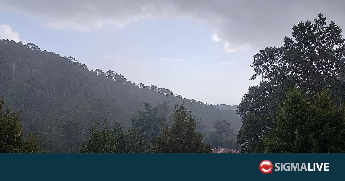 &Alpha;&upsilon;&gamma;&omicron;&upsilon;&sigma;&tau;&iota;ά&tau;&iota;&kappa;&epsilon;&sigmaf; &beta;&rho;&omicron;&chi;έ&sigmaf; &sigma;&tau;&alpha; &omicron;&rho;&epsilon;&iota;&nu;ά &ndash; &Delta;&epsilon;ί&tau;&epsilon; &beta;ί&nu;&tau;&epsilon;&omicron; &alpha;&pi;ό &tau;&iota;&sigmaf; &Pi;&lambda;ά&tau;&rho;&epsilon;&sigmaf;