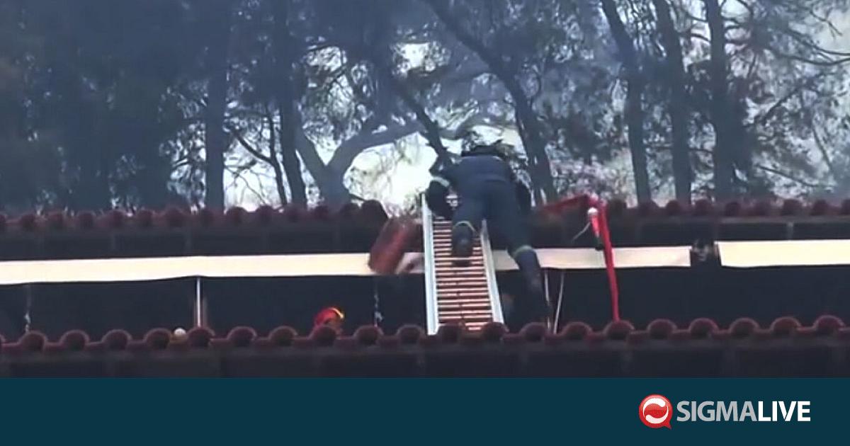 &Beta;ί&nu;&tau;&epsilon;&omicron;: &Pi;&upsilon;&rho;&omicron;&sigma;&beta;έ&sigma;&tau;&eta;&sigmaf; &pi;έ&phi;&tau;&epsilon;&iota; &alpha;&pi;ό &sigma;&kappa;ά&lambda;&alpha; &sigma;&epsilon; &sigma;&kappa;&epsilon;&pi;ή &kappa;&alpha;&tau;ά &tau;&eta;&nu; &kappa;&alpha;&tau;ά&sigma;&beta;&epsilon;&sigma;&eta; &sigma;&tau;&eta; &Sigma;ί&beta;&eta;&rho;&eta;