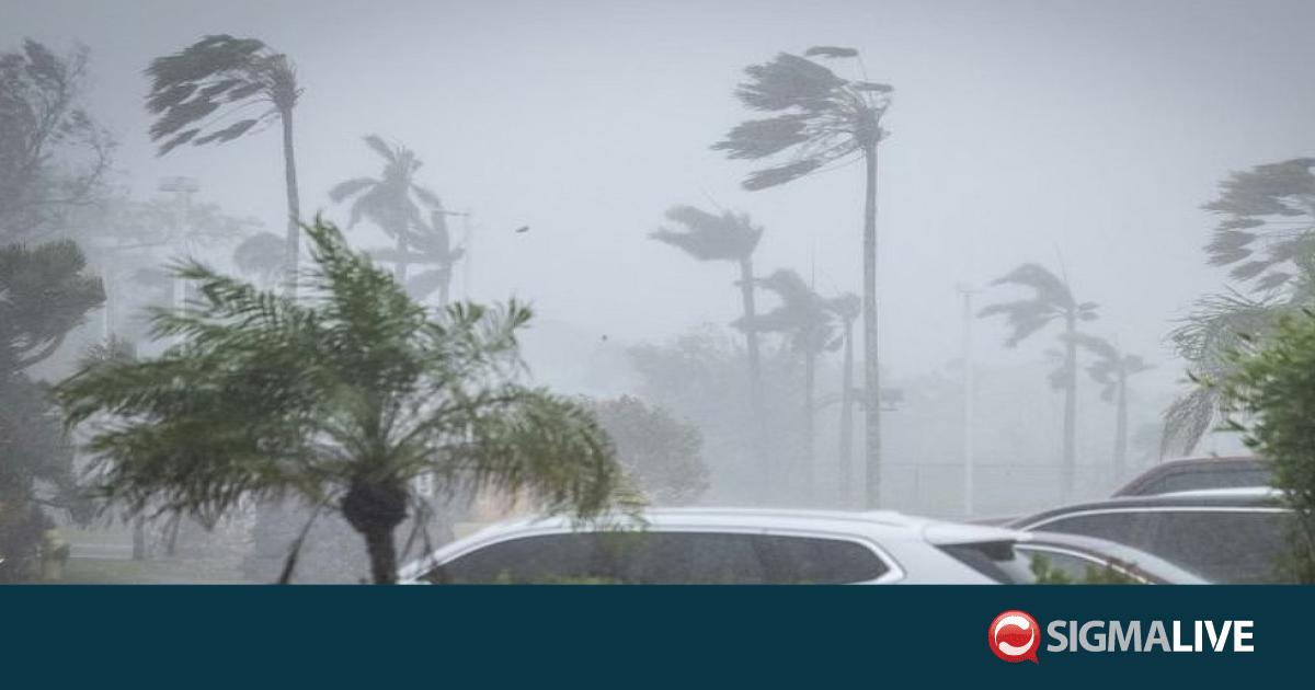 &Tau;ό&kappa;&iota;&omicron;: &Tau;έ&sigma;&sigma;&epsilon;&rho;&iota;&sigmaf; &nu;&epsilon;&kappa;&rho;&omicron;ί &alpha;&pi;ό &beta;&rho;&omicron;&chi;&omicron;&pi;&tau;ώ&sigma;&epsilon;&iota;&sigmaf; &laquo;&chi;&omega;&rho;ί&sigmaf; &pi;&rho;&omicron;&eta;&gamma;&omicron;ύ&mu;&epsilon;&nu;&omicron;&raquo;