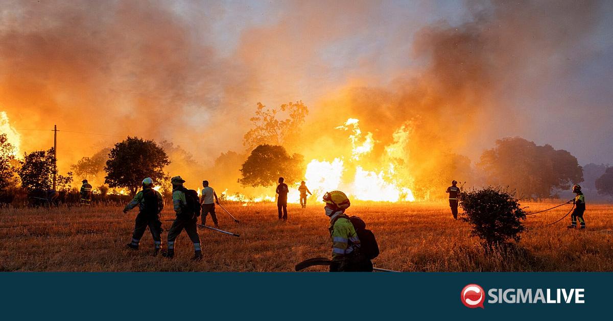 &Iota;&sigma;&pi;&alpha;&nu;ί&alpha;: &Alpha;&pi;&omicron;&mu;ά&kappa;&rho;&upsilon;&nu;&alpha;&nu; &lambda;&epsilon;ί&psi;&alpha;&nu;&alpha; &beta;&alpha;&sigma;&iota;&lambda;&iota;ά&delta;&omega;&nu; 11&omicron;&upsilon; &alpha;&iota;ώ&nu;&alpha; &alpha;&pi;ό &mu;&omicron;&nu;&alpha;&sigma;&tau;ή&rho;&iota;, &lambda;ό&gamma;&omega; &phi;&omega;&tau;&iota;ά&sigmaf;