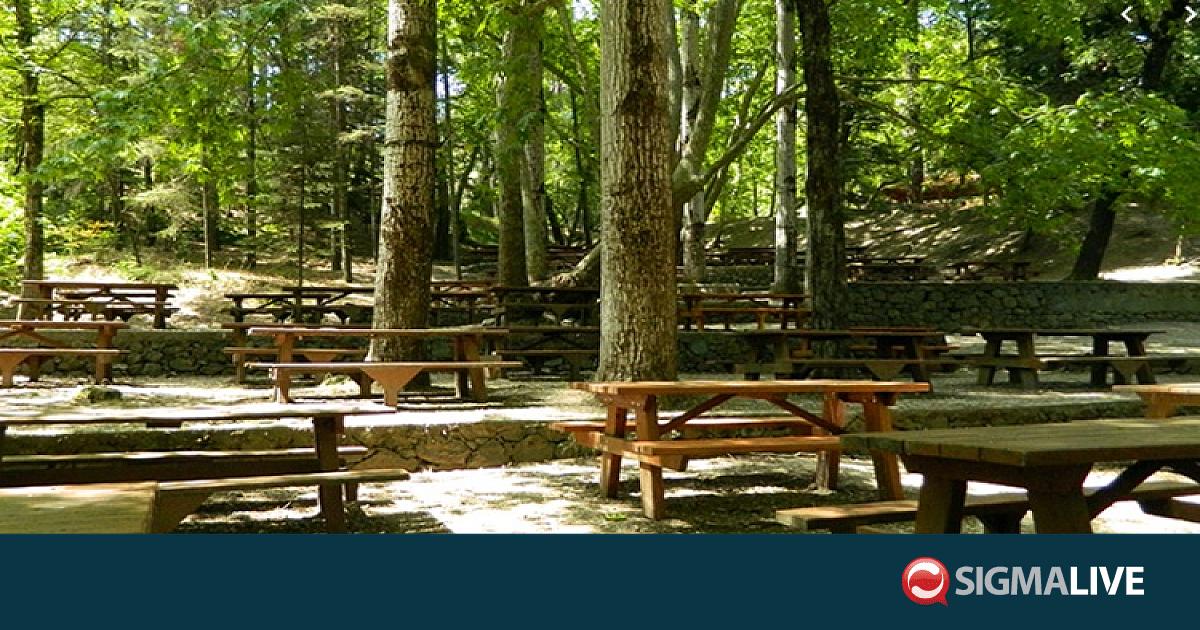 &Delta;&epsilon;&kappa;&alpha;&pi;&epsilon;&nu;&tau;&alpha;ύ&gamma;&omicron;&upsilon;&sigma;&tau;&omicron;&sigmaf;: &Pi;&omicron;&iota;&omicron;&iota; &epsilon;&kappa;&delta;&rho;&omicron;&mu;&iota;&kappa;&omicron;ί &chi;ώ&rho;&omicron;&iota; έ&chi;&omicron;&upsilon;&nu; &alpha;&kappa;ό&mu;&eta; &delta;&iota;&alpha;&theta;&epsilon;&sigma;&iota;&mu;ό&tau;&eta;&tau;&alpha;