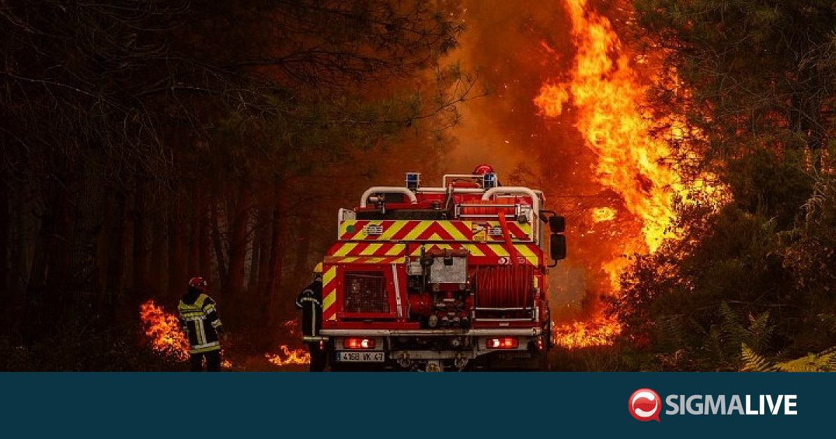 &Pi;ύ&rho;&iota;&nu;&omicron;&sigmaf; &epsilon;&phi;&iota;ά&lambda;&tau;&eta;&sigmaf; &sigma;&epsilon; &Beta;έ&lambda;&gamma;&iota;&omicron; &kappa;&alpha;&iota; &Gamma;&alpha;&lambda;&lambda;ί&alpha;: &Sigma;&tau;ά&chi;&tau;&eta; &delta;&epsilon;&kappa;ά&delta;&epsilon;&sigmaf; &chi;&iota;&lambda;&iota;ά&delta;&epsilon;&sigmaf; &sigma;&tau;&rho;έ&mu;&mu;&alpha;&tau;&alpha;
