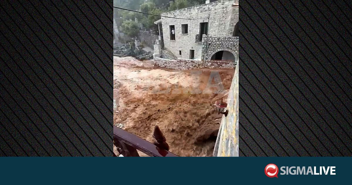 &Sigma;&phi;&omicron;&delta;&rho;ή &kappa;&alpha;&kappa;&omicron;&kappa;&alpha;&iota;&rho;ί&alpha; &sigma;&tau;&eta;&nu; &Epsilon;&lambda;&lambda;ά&delta;&alpha; -&Kappa;&epsilon;&rho;&alpha;&upsilon;&nu;ό&sigmaf; &chi;&tau;ύ&pi;&eta;&sigma;&epsilon; &gamma;&upsilon;&nu;&alpha;ί&kappa;&alpha; &sigma;&epsilon; &alpha;&upsilon;&tau;&omicron;&kappa;ί&nu;&eta;&tau;&omicron; (&Beta;&Iota;&Nu;&Tau;&Epsilon;&Omicron;)