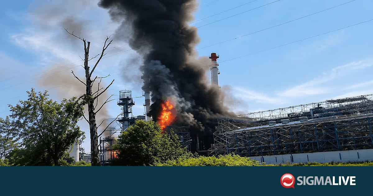 &Kappa;ί&epsilon;&beta;&omicron;: &Tau;&rho;&epsilon;&iota;&sigmaf; &tau;&rho;&alpha;&upsilon;&mu;&alpha;&tau;ί&epsilon;&sigmaf; &alpha;&pi;ό &tau;&alpha; &rho;&omega;&sigma;&iota;&kappa;ά &pi;&lambda;ή&gamma;&mu;&alpha;&tau;&alpha;