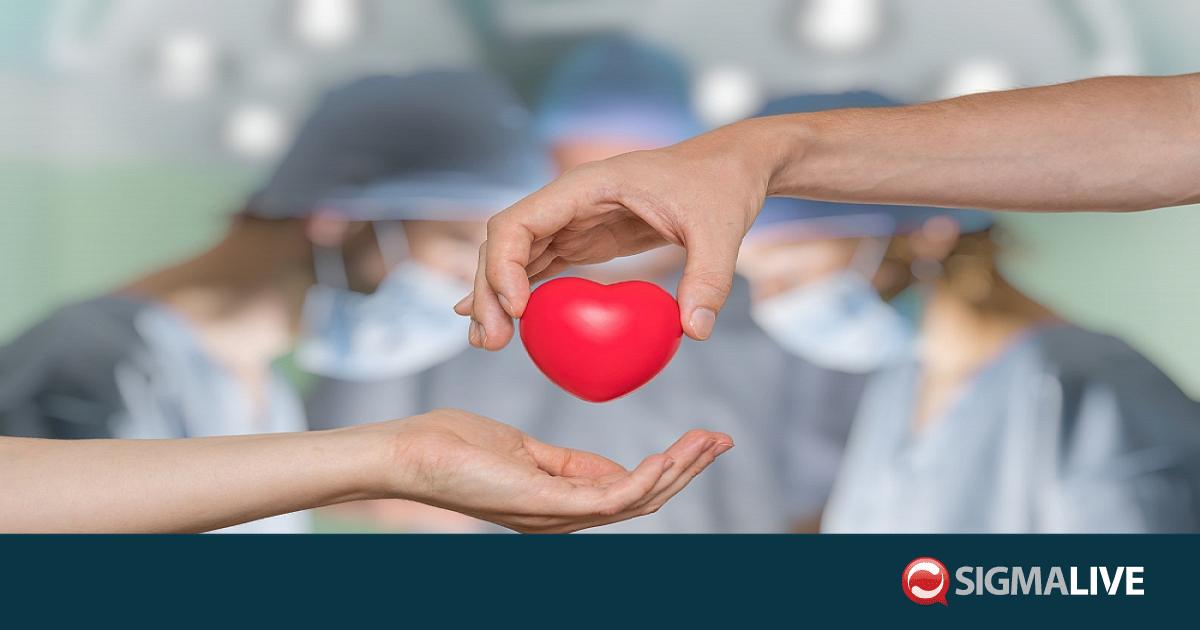 &Pi;&rho;ά&xi;&eta; &alpha;&gamma;ά&pi;&eta;&sigmaf;: &Nu;&epsilon;&alpha;&rho;ή &Kappa;ύ&pi;&rho;&iota;&alpha; έ&delta;&omega;&sigma;&epsilon; &delta;&omega;&rho;&epsilon;ά &mu;ό&sigma;&chi;&epsilon;&upsilon;&mu;&alpha; &kappa;&alpha;&rho;&delta;&iota;ά&sigmaf; &sigma;&epsilon; 45&chi;&rho;&omicron;&nu;&eta; &sigma;&tau;&omicron; &Iota;&sigma;&rho;&alpha;ή&lambda;