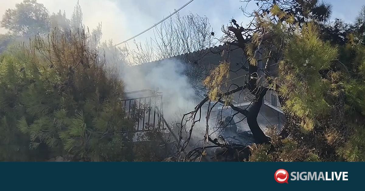 &Tau;&rho;&alpha;&gamma;&omega;&delta;ί&alpha; &mu;&epsilon; &tau;&iota;&sigmaf; &phi;&omega;&tau;&iota;έ&sigmaf; &sigma;&tau;&eta; &Sigma;&alpha;&lambda;&alpha;&mu;ί&nu;&alpha;: &Delta;ύ&omicron; &nu;&epsilon;&kappa;&rho;&omicron;ί, &kappa;&alpha;ί&gamma;&omicron;&nu;&tau;&alpha;&iota; &sigma;&pi;ί&tau;&iota;&alpha; (BINTEO)