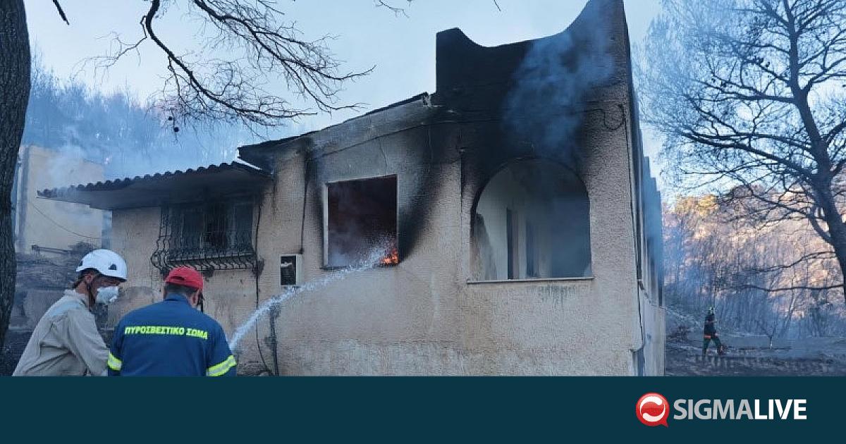 &Phi;&omega;&tau;&iota;ά &sigma;&tau;&eta; &Sigma;&alpha;&lambda;&alpha;&mu;ί&nu;&alpha;: &Tau;&omicron; &sigma;&eta;&mu;&epsilon;ί&omicron; ό&pi;&omicron;&upsilon; &beta;&rho;έ&theta;&eta;&kappa;&alpha;&nu; &omicron;&iota; &delta;ύ&omicron; &nu;&epsilon;&kappa;&rho;&omicron;ί- &Chi;&omega;&rho;ί&sigmaf; &epsilon;&nu;&epsilon;&rho;&gamma;ό &mu;έ&tau;&omega;&pi;&omicron;