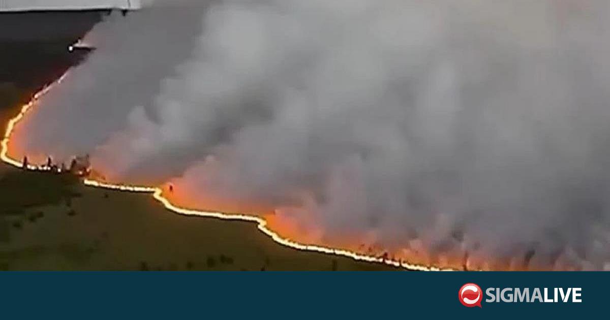 &Kappa;&alpha;&lambda;&pi;ά&zeta;&epsilon;&iota; &pi;&rho;&omicron;&sigmaf; &tau;&alpha; &gamma;&epsilon;&rho;&mu;&alpha;&nu;&iota;&kappa;ά &sigma;ύ&nu;&omicron;&rho;&alpha; &eta; &pi;ύ&rho;&iota;&nu;&eta; &lambda;&alpha;ί&lambda;&alpha;&pi;&alpha; &pi;&omicron;&upsilon; &sigma;&alpha;&rho;ώ&nu;&epsilon;&iota; &tau;&omicron; &Beta;έ&lambda;&gamma;&iota;&omicron;