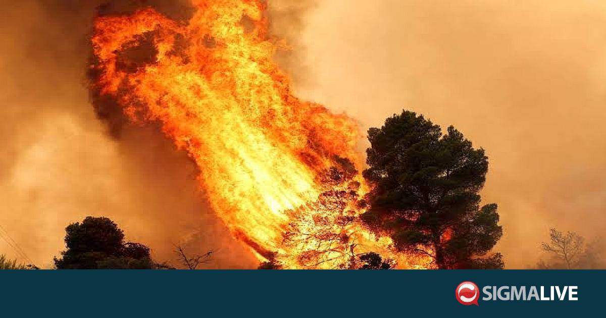 &Beta;έ&lambda;&gamma;&iota;&omicron;: &Kappa;&alpha;&tau;&epsilon;&upsilon;&theta;ύ&nu;&epsilon;&tau;&alpha;&iota; &pi;&rho;&omicron;&sigmaf; &Gamma;&epsilon;&rho;&mu;&alpha;&nu;ί&alpha; &eta; &mu;&epsilon;&gamma;ά&lambda;&eta; &pi;&upsilon;&rho;&kappa;&alpha;&gamma;&iota;ά-&Epsilon;&nu;&tau;&omicron;&lambda;ή &epsilon;&kappa;&kappa;έ&nu;&omega;&sigma;&eta;&sigmaf;