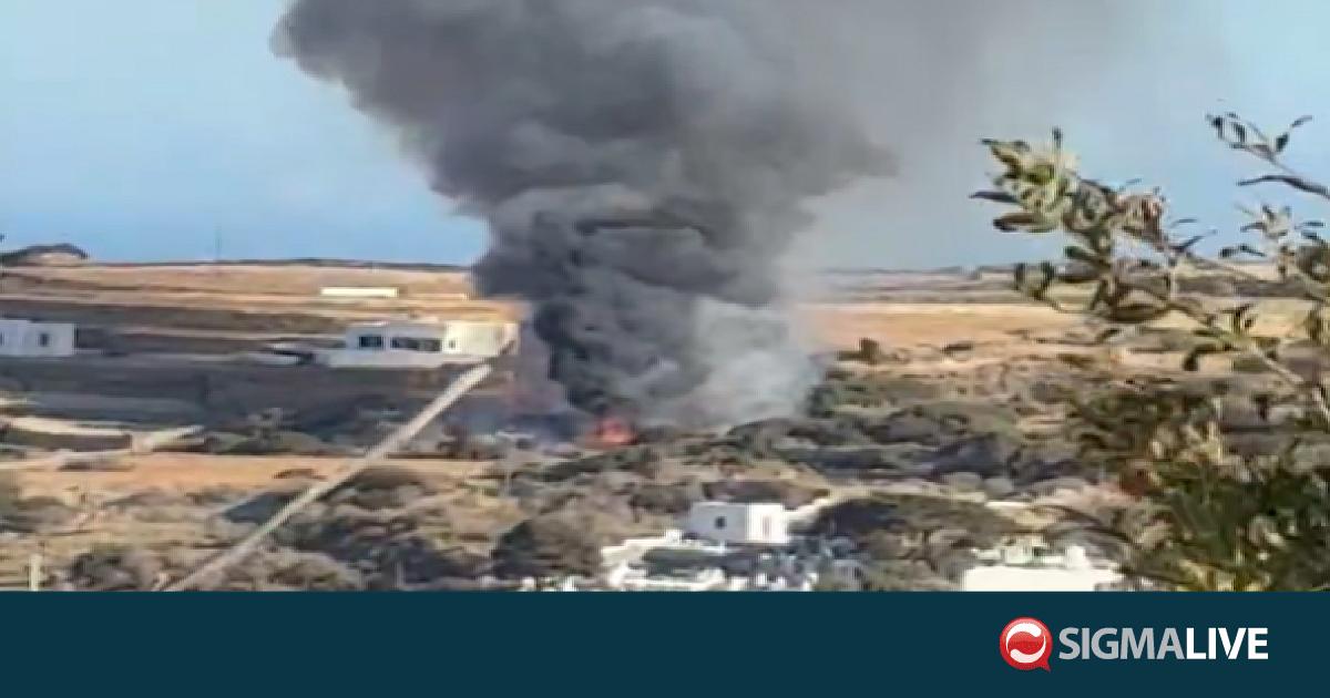 &Tau;&rho;&alpha;&gamma;&omega;&delta;ί&alpha; &sigma;&tau;&eta; &Sigma;ί&phi;&nu;&omicron;: &Nu;&epsilon;&kappa;&rho;ό&sigmaf; Έ&lambda;&lambda;&eta;&nu;&alpha;&sigmaf; &pi;&iota;&lambda;ό&tau;&omicron;&sigmaf; &kappa;&alpha;&iota; &nu;&iota;ό&pi;&alpha;&nu;&tau;&rho;&omicron; &zeta;&epsilon;&upsilon;&gamma;ά&rho;&iota; &Beta;&rho;&epsilon;&tau;&alpha;&nu;ώ&nu;