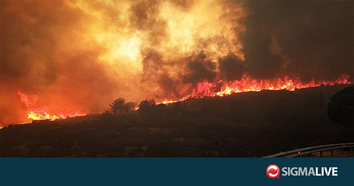 &Epsilon;&Omicron;&Alpha;: &Mu;&nu;&eta;&mu;ό&nu;&iota;&omicron; &Sigma;&upsilon;&nu;&alpha;&nu;&tau;ί&lambda;&eta;&psi;&eta;&sigmaf; &gamma;&iota;&alpha; έ&gamma;&kappa;&alpha;&iota;&rho;&eta; &alpha;&nu;ί&chi;&nu;&epsilon;&upsilon;&sigma;&eta; &pi;&upsilon;&rho;&kappa;&alpha;&gamma;&iota;ώ&nu; &mu;&epsilon; &chi;&rho;ή&sigma;&eta; &Tau;&Nu;