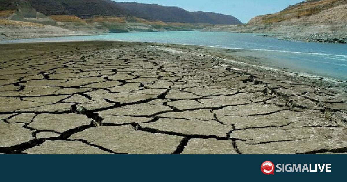 &Alpha;&gamma;&rho;&omicron;&tau;&iota;&kappa;έ&sigmaf; &omicron;&rho;&gamma;&alpha;&nu;ώ&sigma;&epsilon;&iota;&sigmaf;: &Epsilon;&upsilon;&epsilon;&rho;&gamma;&epsilon;&tau;&iota;&kappa;έ&sigmaf; &beta;&rho;&omicron;&chi;έ&sigmaf;-&Sigma;&tau;&omicron; &tau;&rho;&alpha;&pi;έ&zeta;&iota; &tau;&omicron; &upsilon;&delta;&alpha;&tau;&iota;&kappa;ό &mu;&epsilon; &nu;έ&omicron; &Upsilon;&pi;&omicron;&upsilon;&rho;&gamma;ό