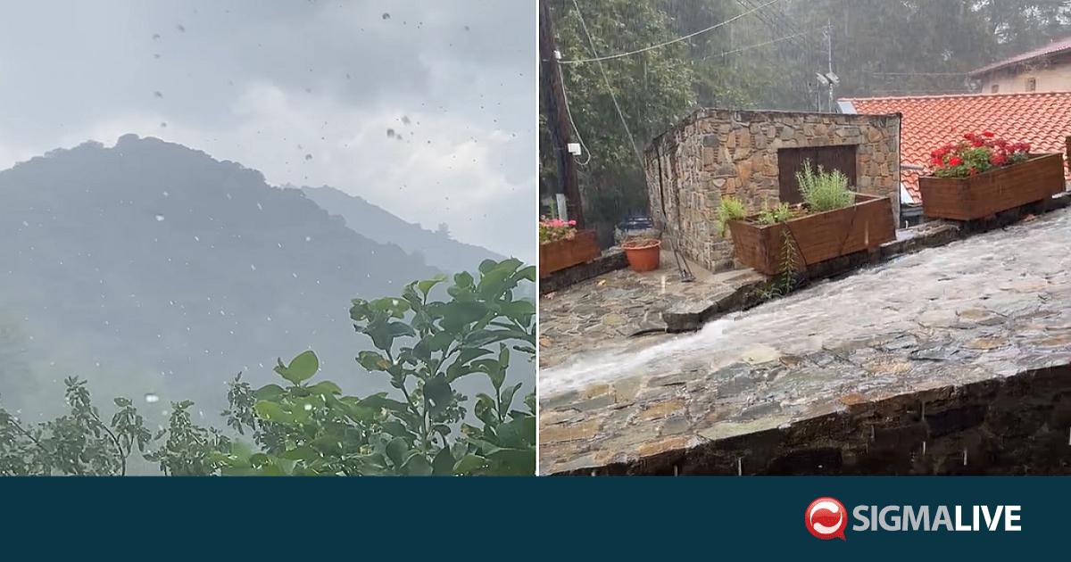 &Beta;&Iota;&Nu;&Tau;&Epsilon;&Omicron;: &Beta;&rho;&omicron;&chi;έ&sigmaf; &laquo;&chi;&tau;&upsilon;&pi;&omicron;ύ&nu;&raquo; &xi;&alpha;&nu;ά &tau;&eta;&nu; &Kappa;ύ&pi;&rho;&omicron; &kappa;&alpha;&lambda;&omicron;&kappa;&alpha;&iota;&rho;&iota;ά&tau;&iota;&kappa;&alpha;
