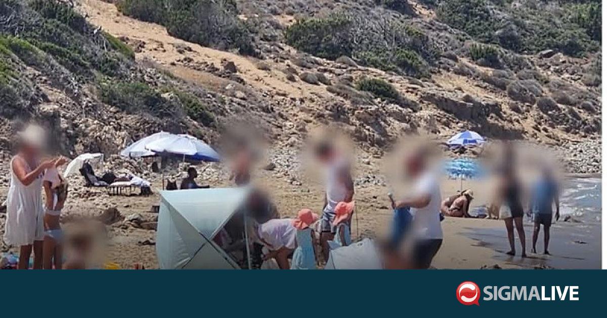 &Phi;&Omega;&Tau;&Omicron;: Έ&sigma;&tau;&eta;&sigma;&alpha;&nu; &omicron;&mu;&pi;&rho;έ&lambda;&epsilon;&sigmaf; &kappa;&alpha;&iota; &tau;&sigma;&alpha;&nu;&tau;ί&rho;&iota;&alpha; &sigma;&tau;&eta;&nu; &pi;&rho;&omicron;&sigma;&tau;&alpha;&tau;&epsilon;&upsilon;ό&mu;&epsilon;&nu;&eta; &pi;&alpha;&rho;&alpha;&lambda;ί&alpha; &tau;&eta;&sigmaf; &Lambda;ά&rho;&alpha;&sigmaf;