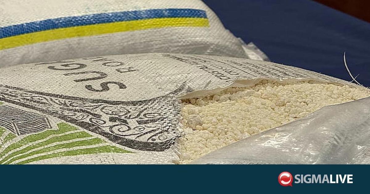 &Sigma;έ&rho;&beta;&omicron;&sigmaf; &pi;&alpha;&lambda;&alpha;ί&mu;&alpha;&chi;&omicron;&sigmaf; &pi;&omicron;&delta;&omicron;&sigma;&phi;&alpha;&iota;&rho;&iota;&sigma;&tau;ή&sigmaf; &sigma;&upsilon;&nu;&epsilon;&lambda;ή&phi;&theta;&eta; &mu;&epsilon; 1,5 &tau;ό&nu;&omicron; &kappa;&omicron;&kappa;&alpha;ΐ&nu;&eta;&sigmaf; &kappa;&alpha;&iota; ό&pi;&lambda;&alpha;