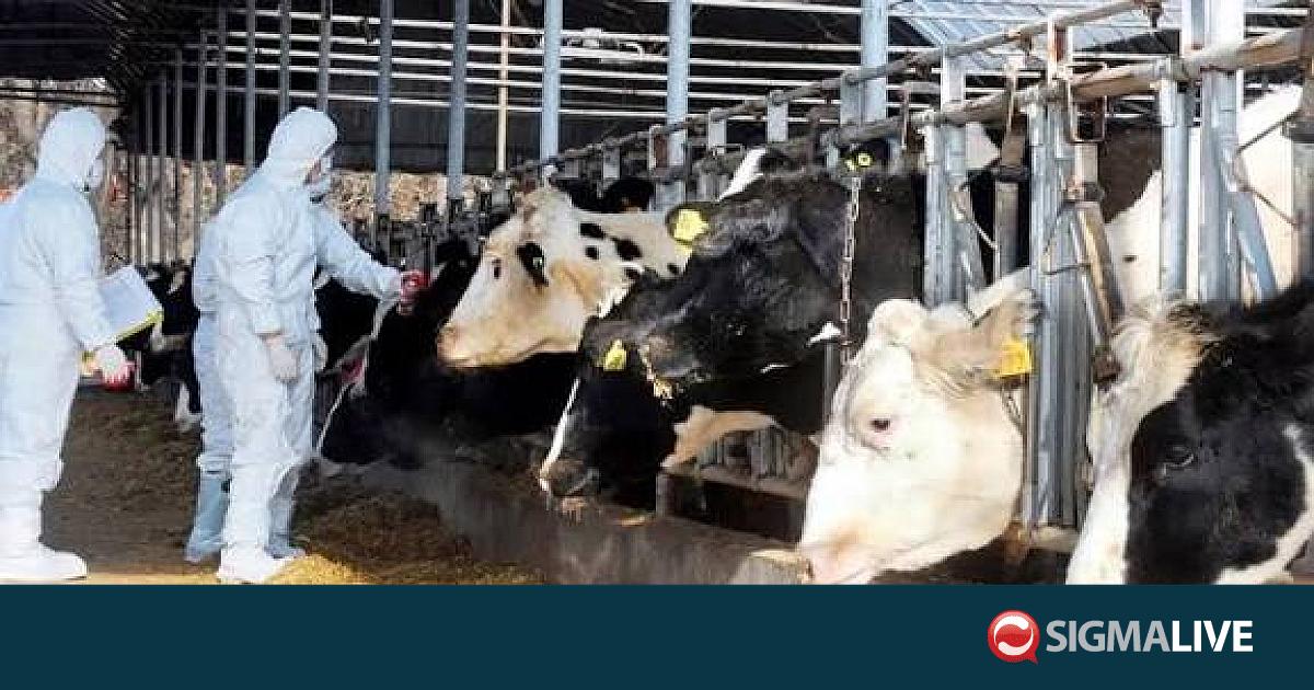 &Kappa;&tau;&eta;&nu;&iota;&alpha;&tau;&rho;&iota;&kappa;έ&sigmaf; &Upsilon;&pi;&eta;&rho;&epsilon;&sigma;ί&epsilon;&sigmaf;: &Alpha;&pi;&omicron;&zeta;&eta;&mu;&iota;ώ&theta;&eta;&kappa;&alpha;&nu; ό&lambda;&omicron;&iota; ό&sigma;&omicron;&iota; &delta;&iota;&kappa;&alpha;&iota;&omicron;ύ&nu;&tau;&alpha;&nu; &gamma;&iota;&alpha; &tau;&omicron;&nu; &alpha;&phi;&theta;ώ&delta;&eta;