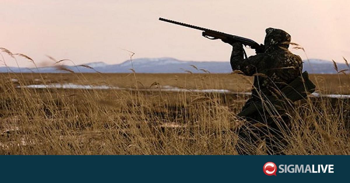 &Sigma;&tau;&eta;&nu; ύ&pi;&alpha;&iota;&theta;&rho;&omicron; 17.000 &kappa;&upsilon;&nu;&eta;&gamma;&omicron;ί &tau;&eta;&nu; &Kappa;&upsilon;&rho;&iota;&alpha;&kappa;ή &ndash; &Sigma;&epsilon; &epsilon;&pi;&iota;&phi;&upsilon;&lambda;&alpha;&kappa;ή &lambda;ό&gamma;&omega; &kappa;&iota;&nu;&delta;ύ&nu;&omicron;&upsilon; &pi;&upsilon;&rho;&kappa;&alpha;&gamma;&iota;ώ&nu;