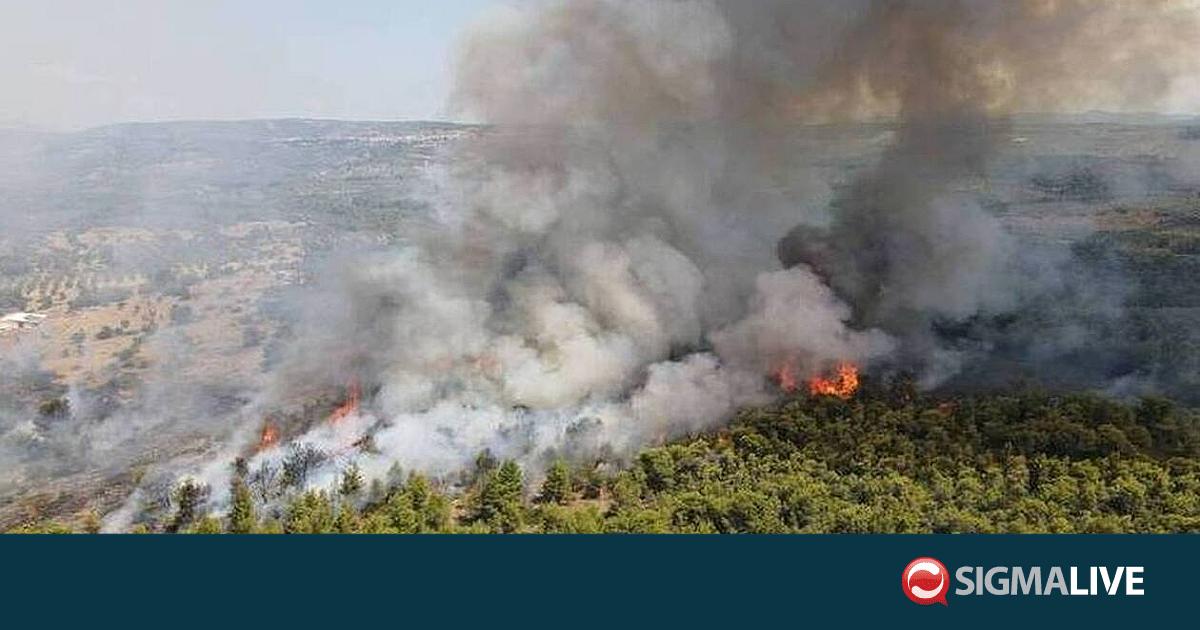 &Sigma;&epsilon; &epsilon;&pi;ί&pi;&epsilon;&delta;&omicron; &kappa;ό&kappa;&kappa;&iota;&nu;&omicron;&upsilon; &sigma;&upsilon;&nu;&alpha;&gamma;&epsilon;&rho;&mu;&omicron;ύ &omicron; &kappa;ί&nu;&delta;&upsilon;&nu;&omicron;&sigmaf; &pi;&rho;ό&kappa;&lambda;&eta;&sigma;&eta;&sigmaf; &delta;&alpha;&sigma;&iota;&kappa;ώ&nu; &pi;&upsilon;&rho;&kappa;&alpha;&gamma;&iota;ώ&nu;