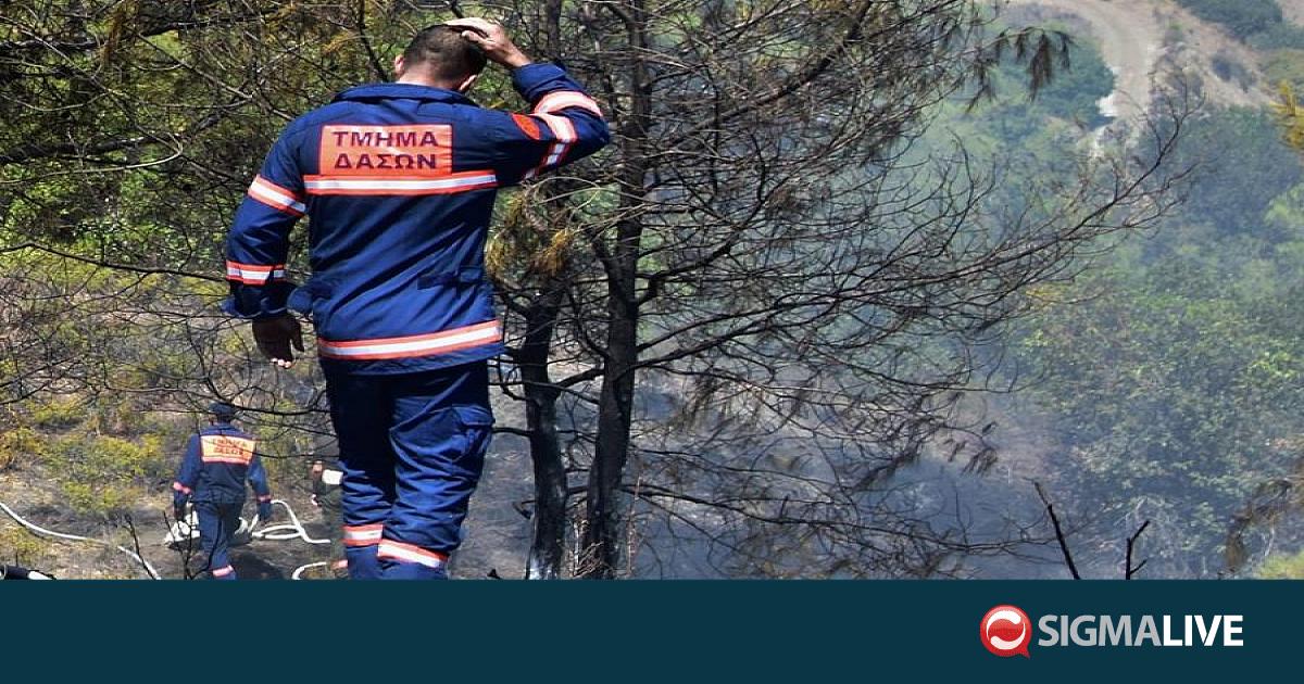 &Sigma;&epsilon; &sigma;&upsilon;&nu;&alpha;&gamma;&epsilon;&rho;&mu;ό &delta;&upsilon;&nu;ά&mu;&epsilon;&iota;&sigmaf; &pi;&upsilon;&rho;ό&sigma;&beta;&epsilon;&sigma;&eta;&sigmaf; &ndash; &Pi;&upsilon;&rho;&kappa;&alpha;&gamma;&iota;ά &sigma;&epsilon; &kappa;&omicron;&iota;&nu;ό&tau;&eta;&tau;&alpha; &tau;&eta;&sigmaf; &Pi;ά&phi;&omicron;&upsilon;