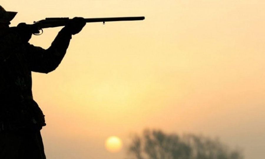 &Theta;&epsilon;&rho;&iota;&nu;ό &kappa;&upsilon;&nu;ή&gamma;&iota;: &Pi;&rho;ώ&tau;&eta; &epsilon;&xi;ό&rho;&mu;&eta;&sigma;&eta; &mu;&epsilon; 17.000 &kappa;&upsilon;&nu;&eta;&gamma;&omicron;ύ&sigmaf; &kappa;&alpha;&iota; &alpha;&upsilon;&xi;&eta;&mu;έ&nu;&omicron;&upsilon;&sigmaf; &epsilon;&lambda;έ&gamma;&chi;&omicron;&upsilon;&sigmaf;