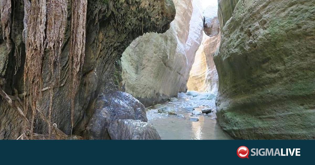 &Phi;&alpha;&rho;ά&gamma;&gamma;&iota; &tau;&omicron;&upsilon; Ά&beta;&alpha;&kappa;&alpha;: &Epsilon;&nu;&tau;&omicron;&pi;ί&sigma;&tau;&eta;&kappa;&epsilon; 16&chi;&rho;&omicron;&nu;&omicron;&sigmaf; &pi;&omicron;&upsilon; &chi;ά&theta;&eta;&kappa;&epsilon;-&Epsilon;&pi;&iota;&chi;&epsilon;ί&rho;&eta;&sigma;&eta; &mu;&epsilon; &sigma;&kappa;ύ&lambda;&omicron;&upsilon;&sigmaf;