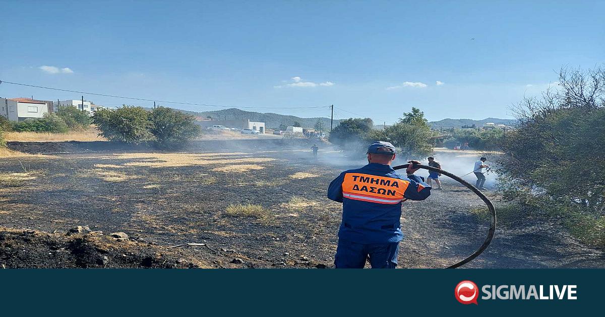 &Upsilon;&pi;ό έ&lambda;&epsilon;&gamma;&chi;&omicron; &pi;&upsilon;&rho;&kappa;&alpha;&gamma;&iota;ά &pi;&omicron;&upsilon; &xi;έ&sigma;&pi;&alpha;&sigma;&epsilon; &sigma;&tau;&eta;&nu; &Kappa;&lambda;ή&rho;&omicron;&upsilon;