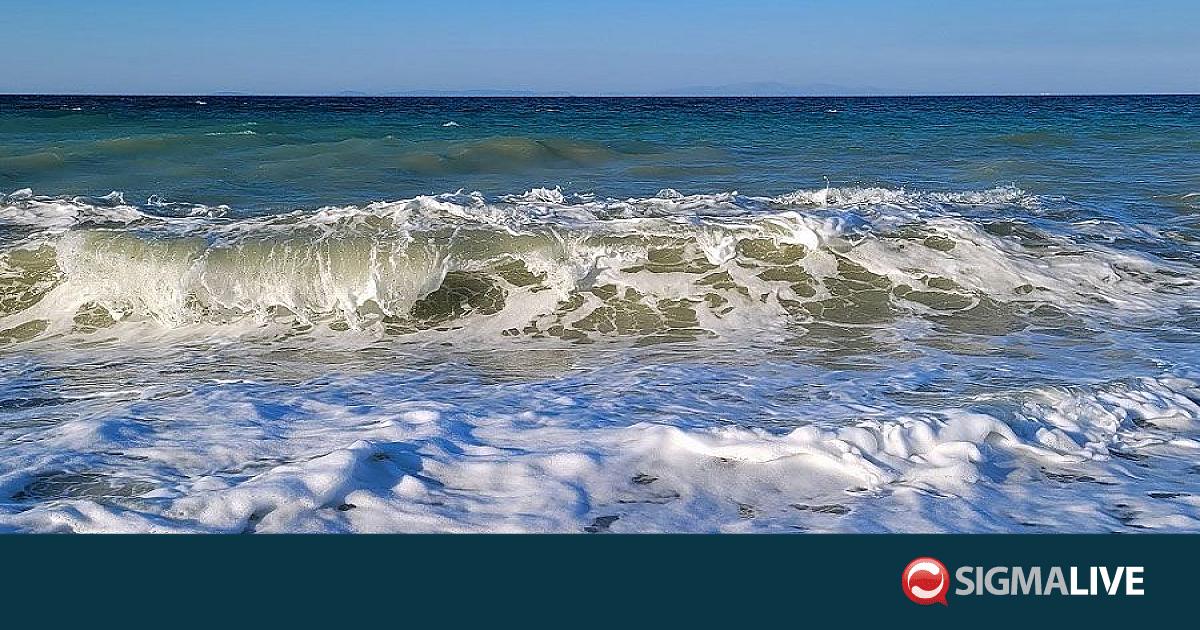 &Tau;&rho;&alpha;&gamma;&omega;&delta;ί&alpha; &sigma;&tau;&eta; &Lambda;&epsilon;&mu;&epsilon;&sigma;ό: 21&chi;&rho;&omicron;&nu;&omicron;&sigmaf; &beta;&omicron;ύ&tau;&eta;&xi;&epsilon; &alpha;&pi;ό &alpha;&pi;&omicron;&beta;ά&theta;&rho;&alpha; &kappa;&alpha;&iota; &alpha;&nu;&alpha;&sigma;ύ&rho;&theta;&eta;&kappa;&epsilon; &nu;&epsilon;&kappa;&rho;ό&sigmaf;