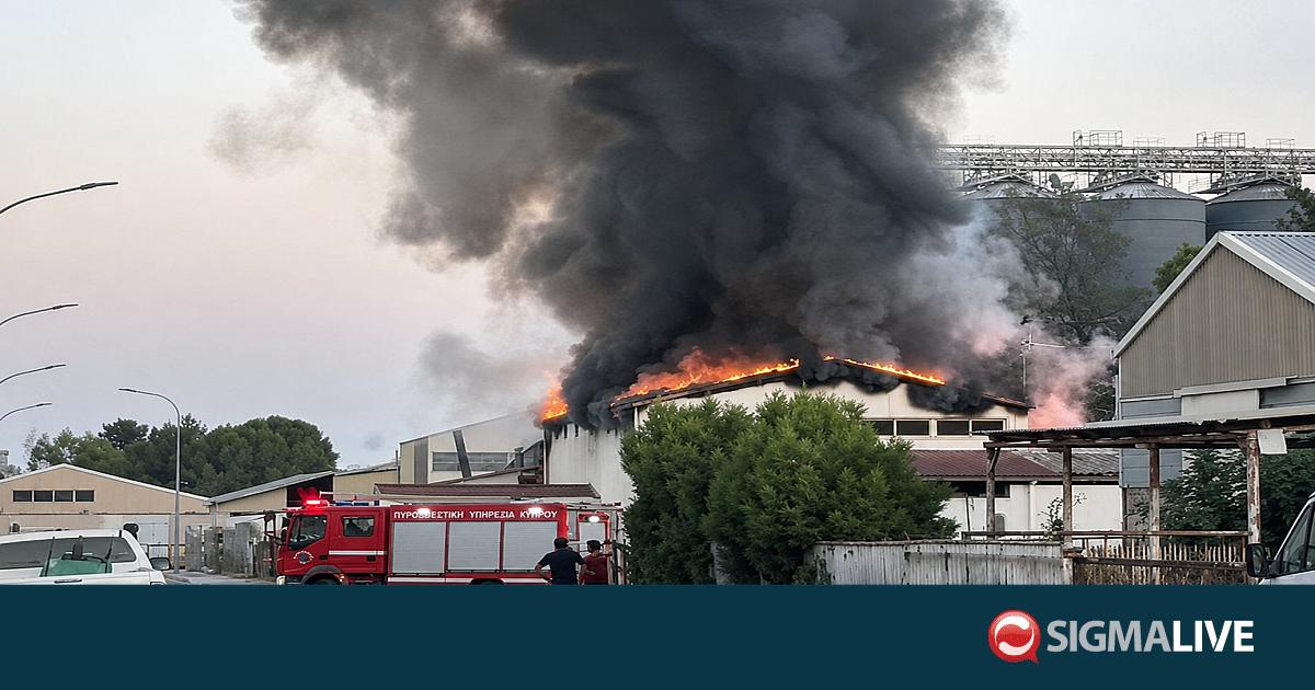 &Beta;&Iota;&Nu;&Tau;&Epsilon;O: &Pi;&upsilon;&rho;&kappa;&alpha;&gamma;&iota;ά &sigma;&tau;&eta; &beta;&iota;&omicron;&mu;&eta;&chi;&alpha;&nu;&iota;&kappa;ή &Alpha;&rho;&alpha;&delta;ί&pi;&pi;&omicron;&upsilon;