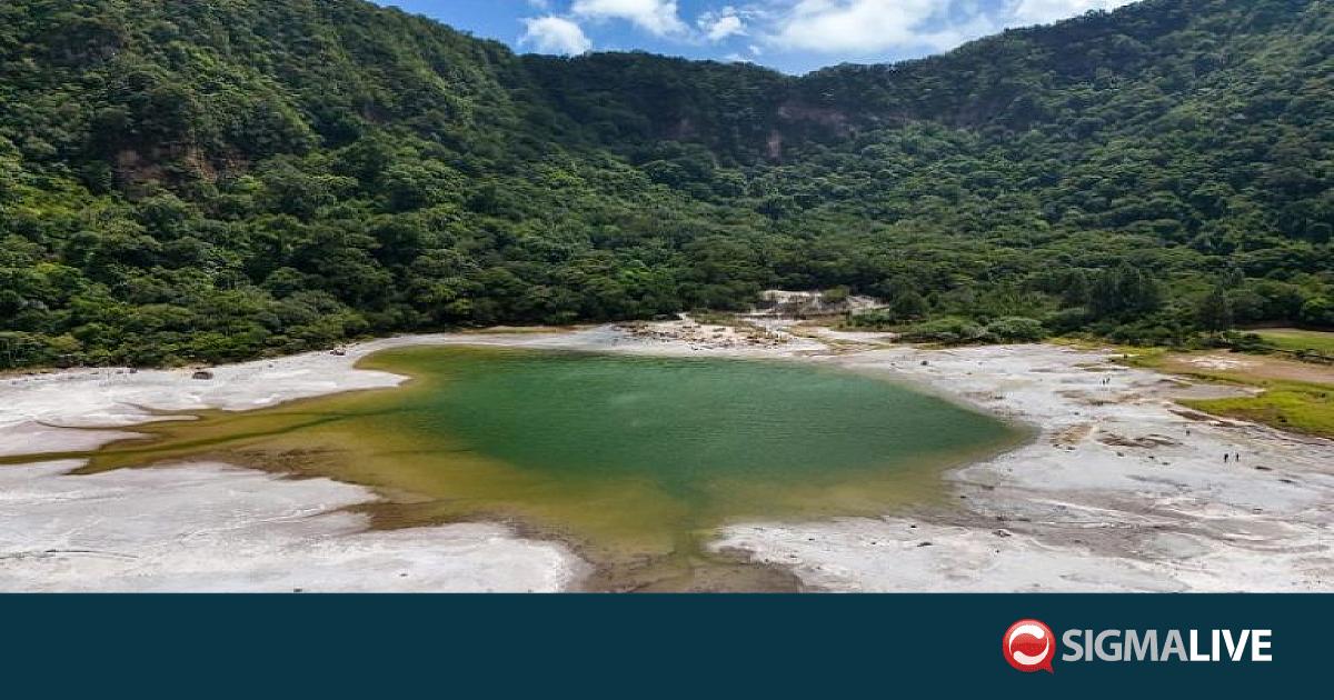 &Epsilon;&lambda; &Sigma;&alpha;&lambda;&beta;&alpha;&delta;ό&rho;: &Sigma;&upsilon;&nu;&alpha;&gamma;&epsilon;&rho;&mu;ό&sigmaf; &gamma;&iota;&alpha; &tau;&eta;&nu; &xi;&eta;&rho;&alpha;&sigma;ί&alpha; &pi;&omicron;&upsilon; &pi;&rho;&omicron;&kappa;&alpha;&lambda;&epsilon;ί &tau;&omicron; &phi;&alpha;&iota;&nu;ό&mu;&epsilon;&nu;&omicron; &Epsilon;&lambda; &Nu;ί&nu;&iota;&omicron;