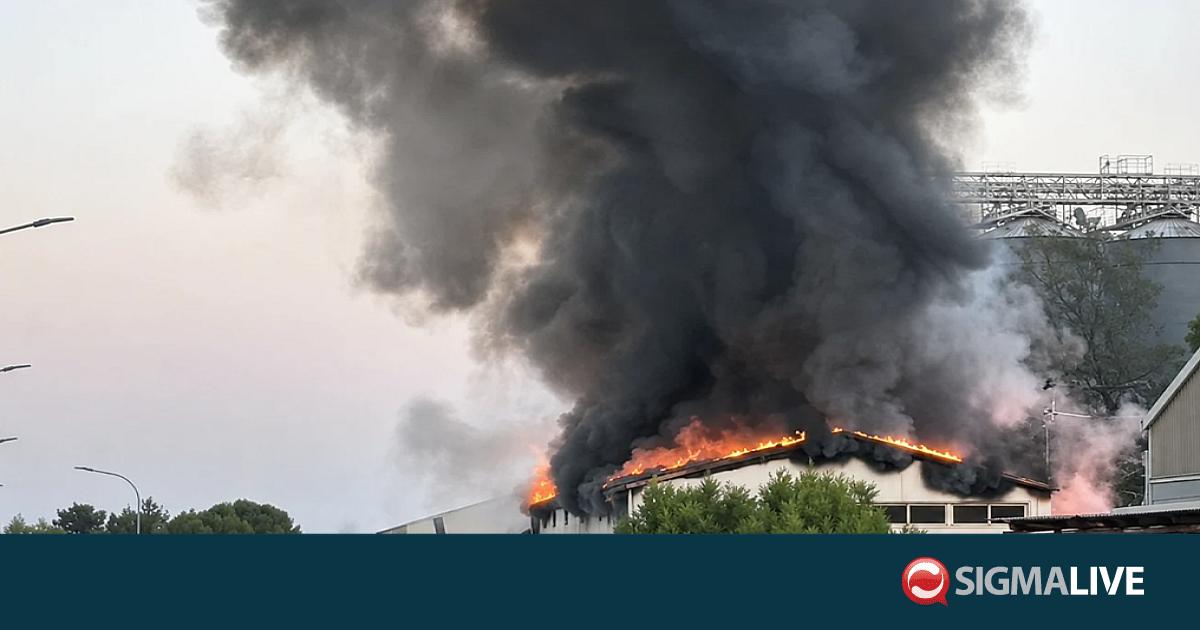 &Epsilon;&kappa;&tau;&epsilon;&tau;&alpha;&mu;έ&nu;&epsilon;&sigmaf; &omicron;&iota; &zeta;&eta;&mu;&iota;έ&sigmaf; &alpha;&pi;ό &tau;&eta;&nu; &pi;&upsilon;&rho;&kappa;&alpha;&gamma;&iota;ά &sigma;&epsilon; &epsilon;&rho;&gamma;&omicron;&sigma;&tau;ά&sigma;&iota;&omicron; &sigma;&tau;&eta;&nu; &Alpha;&rho;&alpha;&delta;ί&pi;&pi;&omicron;&upsilon;