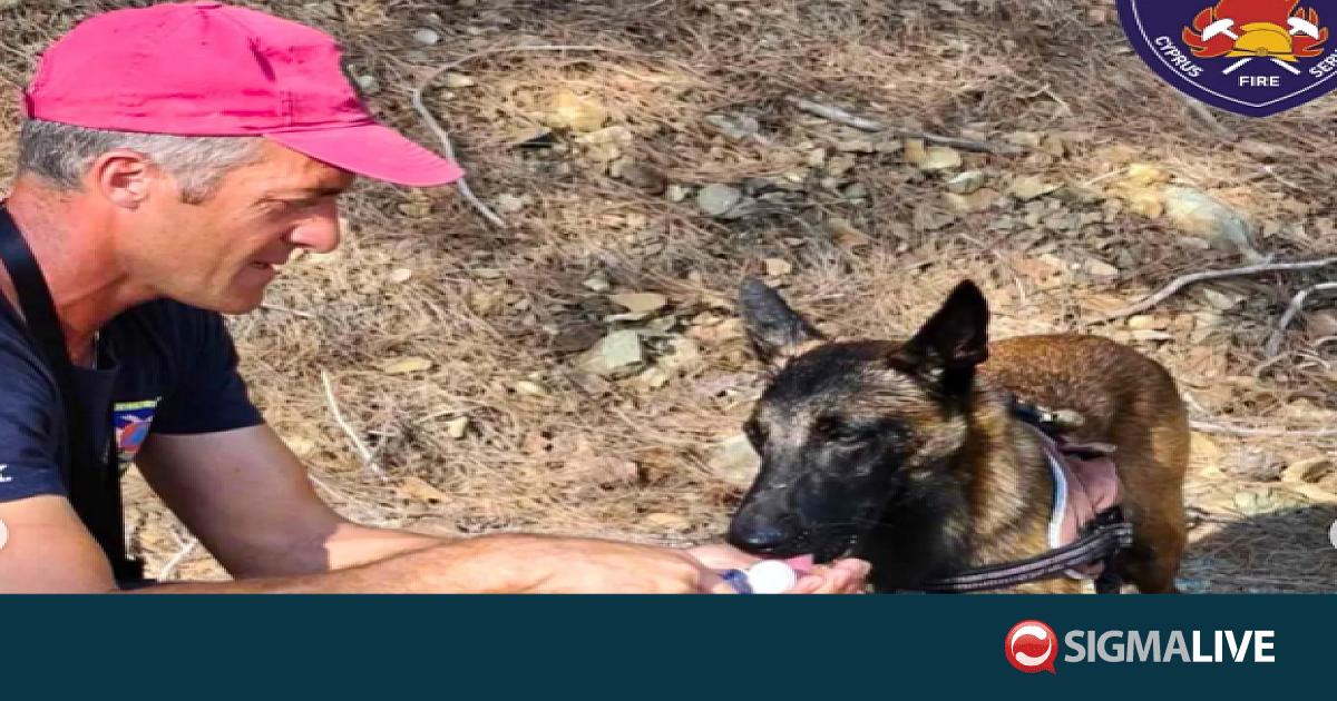 &Omicron;&iota; &tau;&epsilon;&tau;&rho;ά&pi;&omicron;&delta;&omicron;&iota; &pi;&upsilon;&rho;&omicron;&sigma;&beta;έ&sigma;&tau;&epsilon;&sigmaf;: &Gamma;&nu;&omega;&rho;ί&sigma;&tau;&epsilon; &tau;&omicron;&upsilon;&sigmaf; &omicron;&kappa;&tau;ώ &laquo;ή&rho;&omega;&epsilon;&sigmaf;&raquo; &tau;&eta;&sigmaf; &Epsilon;&Mu;&Alpha;&Kappa; (&Phi;&Omega;&Tau;&Omicron;)