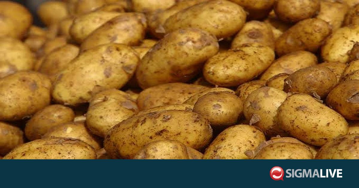 &Nu;&epsilon;&rho;ό &gamma;&iota;&alpha; &pi;&alpha;&tau;ά&tau;&epsilon;&sigmaf; &kappa;&alpha;&iota; &alpha;&nu;&theta;&epsilon;&kappa;&tau;&iota;&kappa;ή &gamma;&epsilon;&omega;&rho;&gamma;ί&alpha; &zeta;&eta;&tau;&omicron;ύ&nu; &omicron;&iota; &alpha;&gamma;&rho;&omicron;&tau;&iota;&kappa;έ&sigmaf; &omicron;&rho;&gamma;&alpha;&nu;ώ&sigma;&epsilon;&iota;&sigmaf;