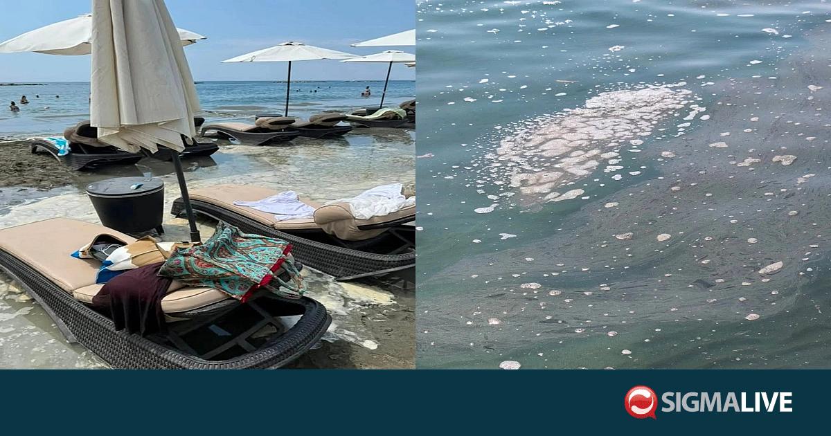 &Theta;&alpha;&lambda;ά&sigma;&sigma;&iota;&alpha; &rho;ύ&pi;&alpha;&nu;&sigma;&eta; &sigma;&tau;&eta; &Lambda;&epsilon;&mu;&epsilon;&sigma;ό: &Tau;&alpha; &epsilon;&pi;&tau;ά &kappa;&rho;ί&sigma;&iota;&mu;&alpha; &epsilon;&rho;&omega;&tau;ή&mu;&alpha;&tau;&alpha; &tau;&omicron;&upsilon; &Delta;&Eta;&Sigma;&Upsilon;