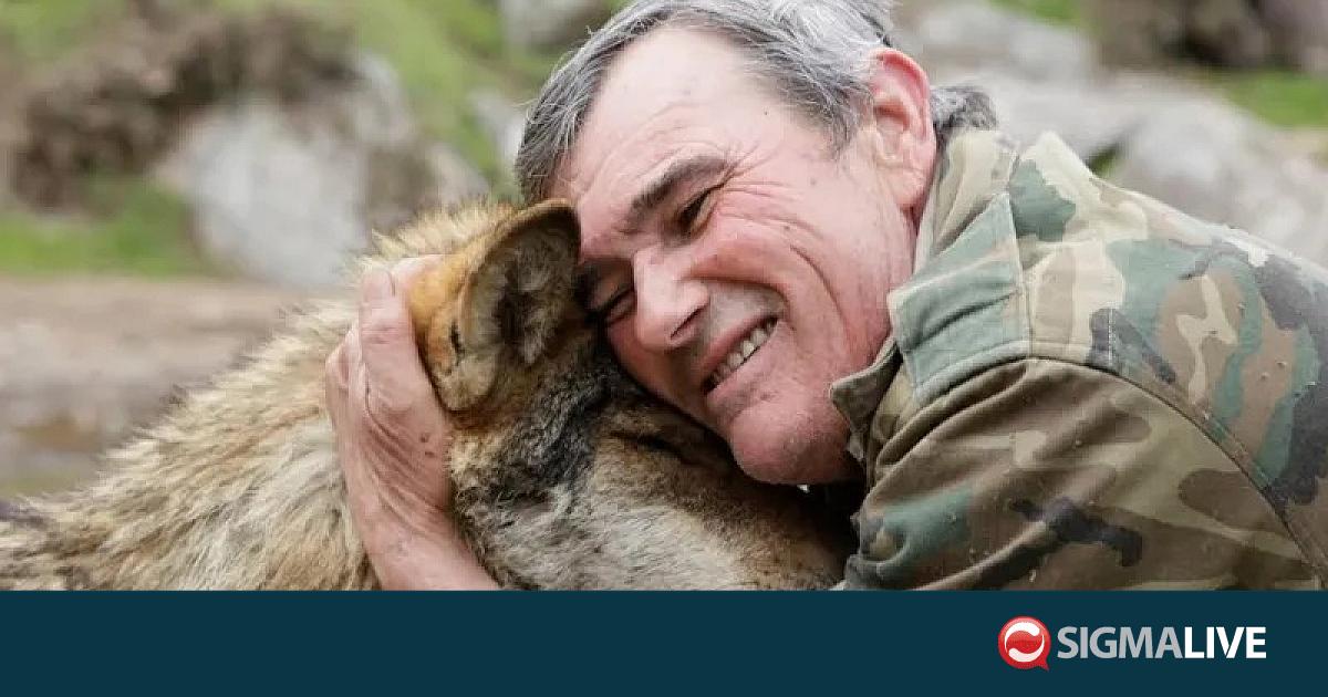 &Pi;έ&theta;&alpha;&nu;&epsilon; &omicron; &laquo;&Mu;ό&gamma;&lambda;&eta;&sigmaf; &tau;&eta;&sigmaf; &Iota;&sigma;&pi;&alpha;&nu;ί&alpha;&sigmaf;&raquo; &pi;&omicron;&upsilon; έ&zeta;&eta;&sigma;&epsilon; 12 &chi;&rho;ό&nu;&iota;&alpha; &mu;&epsilon; &lambda;ύ&kappa;&omicron;&upsilon;&sigmaf; (&Beta;&Iota;&Nu;&Tau;&Epsilon;&Omicron;)
