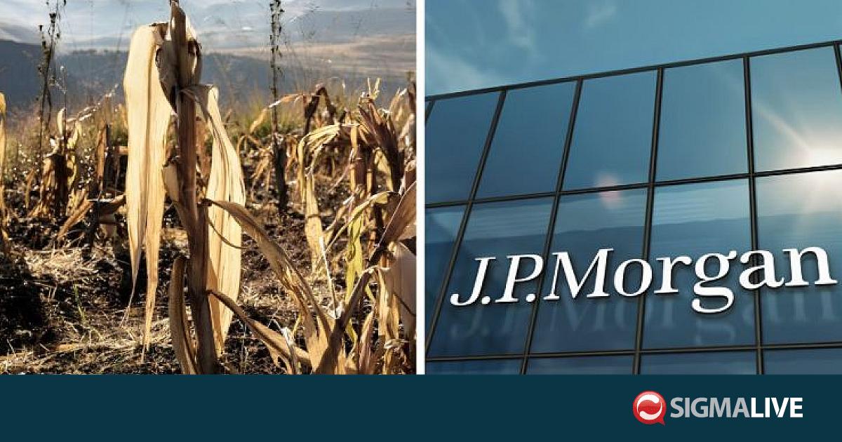 JPMorgan: &Eta; έ&lambda;&lambda;&epsilon;&iota;&psi;&eta; &lambda;&iota;&pi;&alpha;&sigma;&mu;ά&tau;&omega;&nu; &alpha;&pi;&epsilon;&iota;&lambda;&epsilon;ί &tau;&eta;&nu; &pi;&alpha;&gamma;&kappa;ό&sigma;&mu;&iota;&alpha; &pi;&alpha;&rho;&alpha;&gamma;&omega;&gamma;ή
