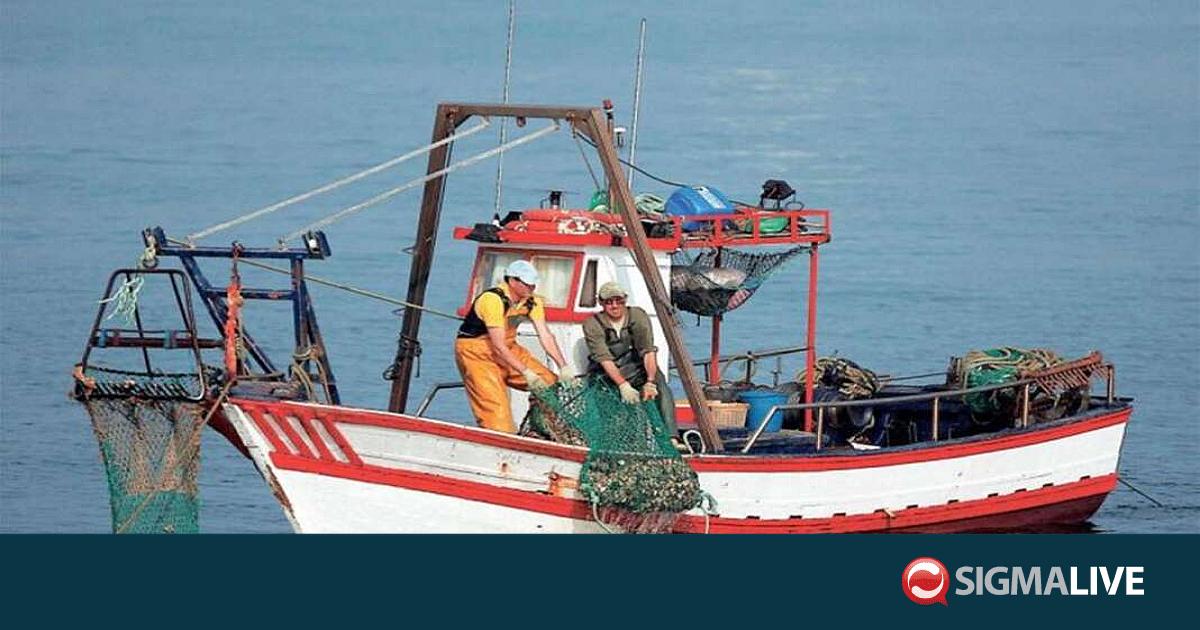 &Epsilon;&theta;&nu;&iota;&kappa;ή &sigma;&tau;&rho;&alpha;&tau;&eta;&gamma;&iota;&kappa;ή &gamma;&iota;&alpha; &tau;&omicron; &mu;έ&lambda;&lambda;&omicron;&nu; &tau;&eta;&sigmaf; &alpha;&lambda;&iota;&epsilon;ί&alpha;&sigmaf; &sigma;&tau;&eta;&nu; &Kappa;ύ&pi;&rho;&omicron; &zeta;&eta;&tau;&omicron;ύ&nu; &omicron;&iota; &epsilon;&pi;&alpha;&gamma;&gamma;&epsilon;&lambda;&mu;&alpha;&tau;ί&epsilon;&sigmaf;