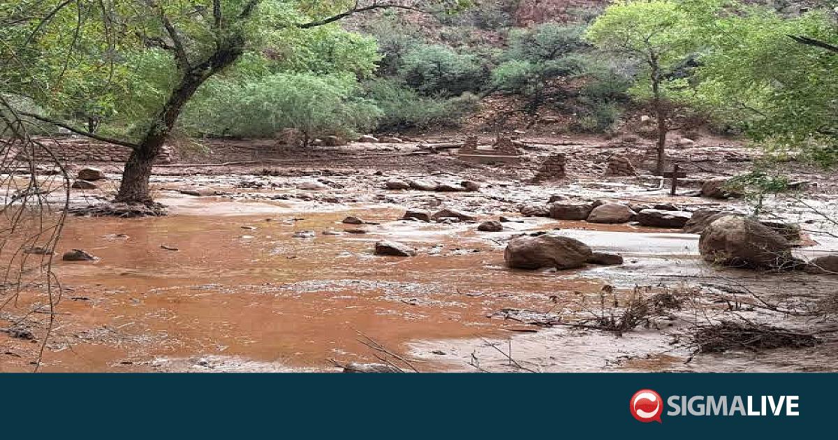 &Gamma;&kappa;&rho;&alpha;&nu; &Kappa;ά&nu;&iota;&omicron;&nu;: Έ&nu;&alpha;&sigmaf; ά&nu;&theta;&rho;&omega;&pi;&omicron;&sigmaf; &epsilon;&xi;&alpha;&kappa;&omicron;&lambda;&omicron;&upsilon;&theta;&epsilon;ί &nu;&alpha; &alpha;&gamma;&nu;&omicron;&epsilon;ί&tau;&alpha;&iota; &mu;&epsilon;&tau;ά &tau;&eta;&nu; &pi;&lambda;&eta;&mu;&mu;ύ&rho;&alpha;
