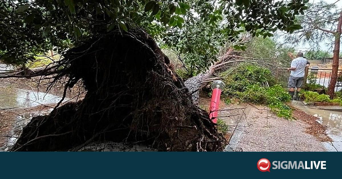 &Sigma;&tau;&iota;&sigmaf; 16 &omicron;&iota; &pi;&epsilon;&rho;&iota;&pi;&tau;ώ&sigma;&epsilon;&iota;&sigmaf; &zeta;&eta;&mu;&iota;ώ&nu; &alpha;&pi;ό &tau;&eta;&nu; &kappa;&alpha;&kappa;&omicron;&kappa;&alpha;&iota;&rho;ί&alpha; &sigma;&tau;&eta;&nu; &Epsilon;&pi;&alpha;&rho;&chi;ί&alpha; &Lambda;&epsilon;&mu;&epsilon;&sigma;&omicron;ύ