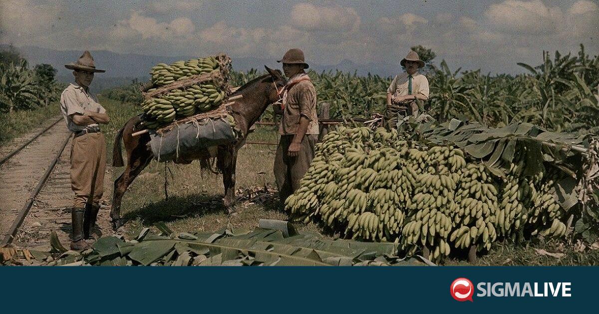 &laquo;&Epsilon;ί&mu;&alpha;&sigma;&tau;&epsilon; &delta;&eta;&mu;&omicron;&kappa;&rho;&alpha;&tau;ί&alpha; &tau;&eta;&sigmaf; &mu;&pi;&alpha;&nu;&alpha;&nu;&iota;ά&sigmaf;&raquo;&hellip;&Alpha;&pi;ό &tau;&omicron;&nu; O. Henry &sigma;&tau;&omicron;&nu; &Gamma;&lambda;&alpha;ύ&kappa;&omicron; &Kappa;&lambda;&eta;&rho;ί&delta;&eta;