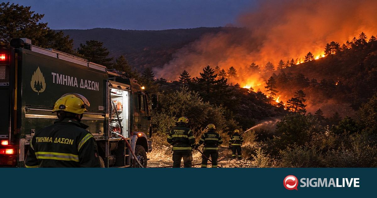 Ξέσπασε πυρκαγιά σε χαράδρα στη Δρούσια - Επιχειρεί το Τμήμα Δασών