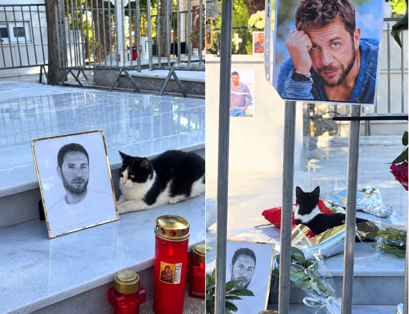 ΒΙΝΤΕΟ: Η παρουσία του γάτου Μάιολο στο μνήμα του Μαζωνάκη που ραγίζει ...