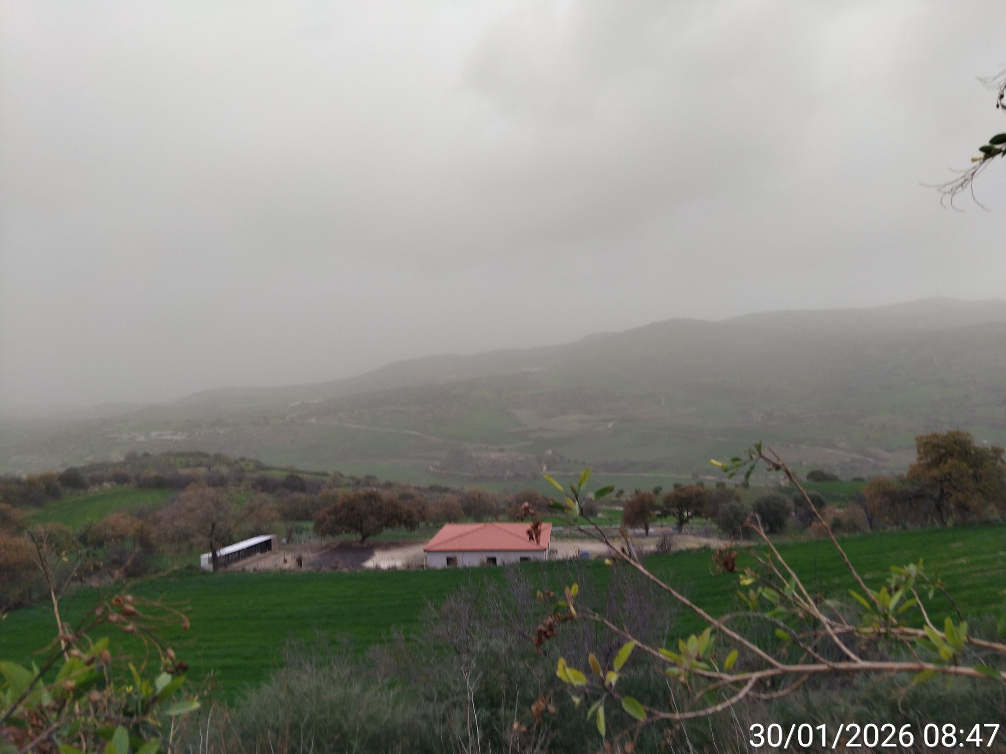 May be an image of fog