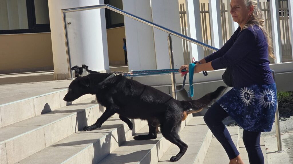 ΠΑΦΟΣ: Εκατοντάδες φιλόζωοι στους δρόμους (ΦΩΤΟ-ΒΙΝΤΕΟ)